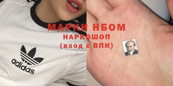 стафф Верхний Тагил