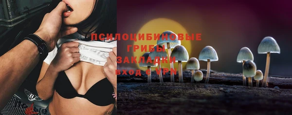 стафф Верхний Тагил