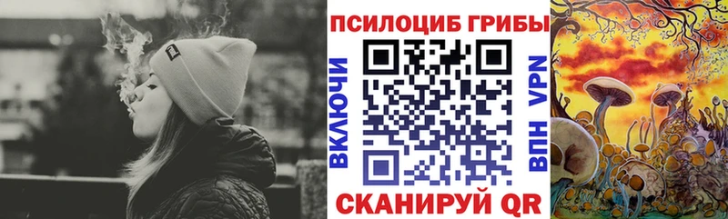 маркетплейс Telegram  где купить наркоту  Кедровый  Галлюциногенные грибы мицелий 