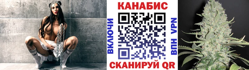 где найти наркотики  Кедровый  Бошки Шишки гибрид 